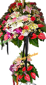 �ҵ�駴͡���
