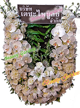 �ǧ����